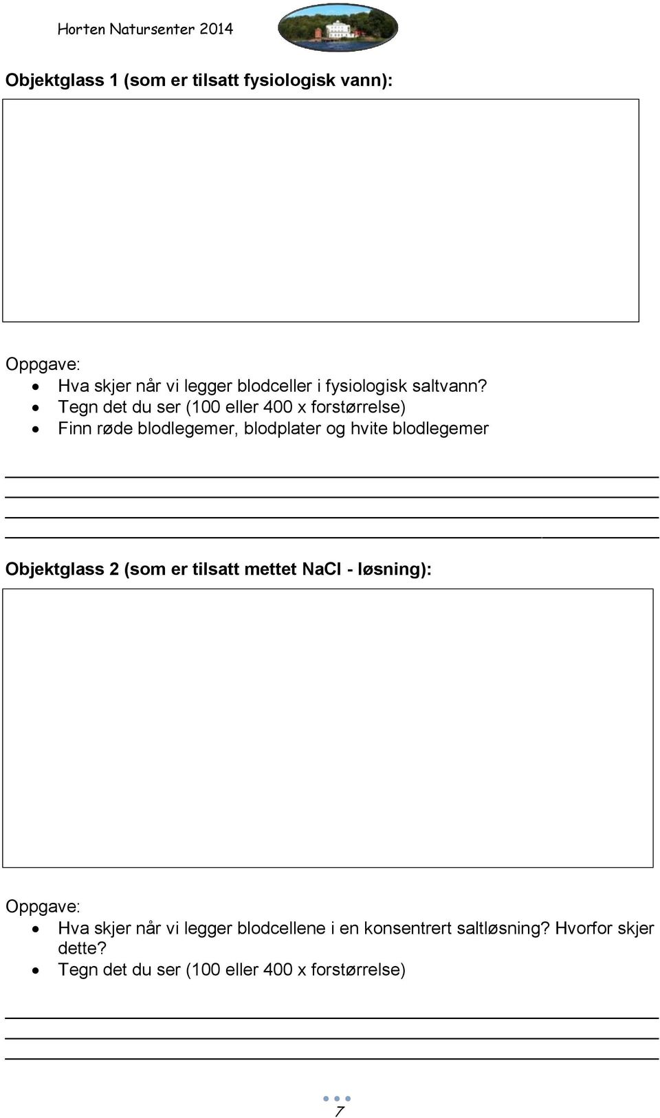 Tegn det du ser (100 eller 400 x forstørrelse) Finn røde blodlegemer, blodplater og hvite blodlegemer