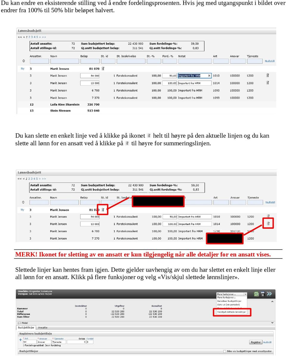 summeringslinjen. Slett all lønn for en ansatt Slett denne linjen MERK! Ikonet for sletting av en ansatt er kun tilgjengelig når alle detaljer for en ansatt vises.