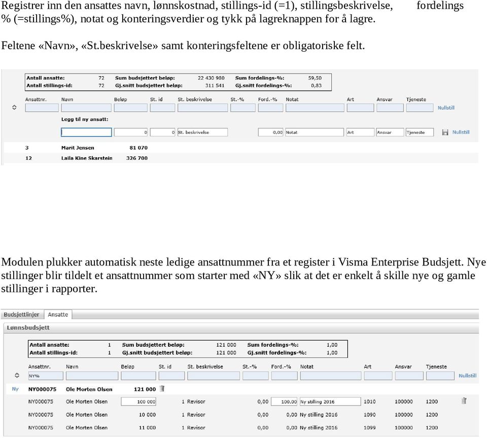 beskrivelse» samt konteringsfeltene er obligatoriske felt.