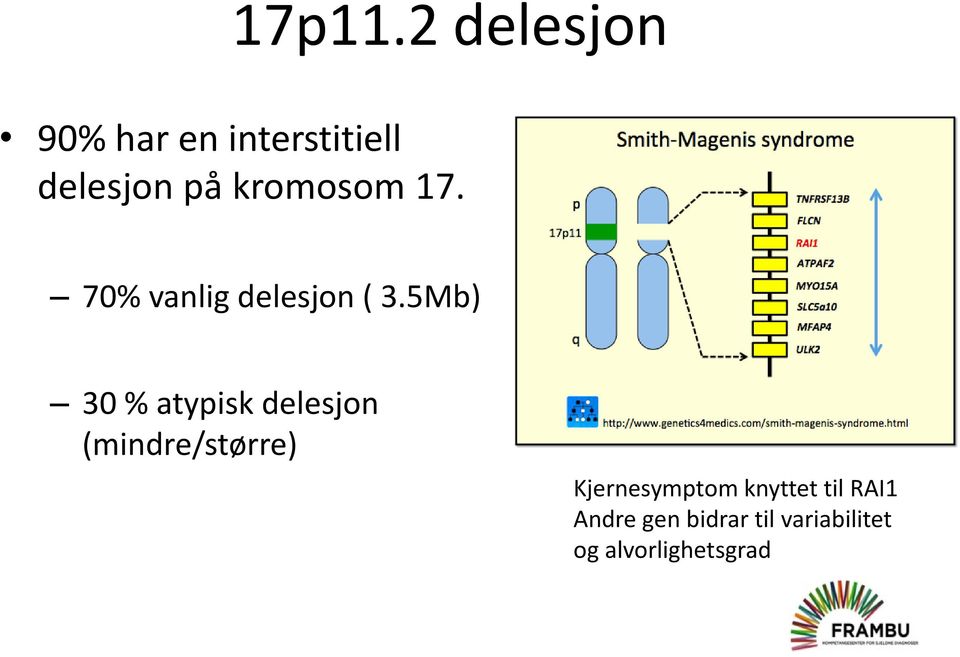 kromosom 17. 70% vanlig delesjon ( 3.