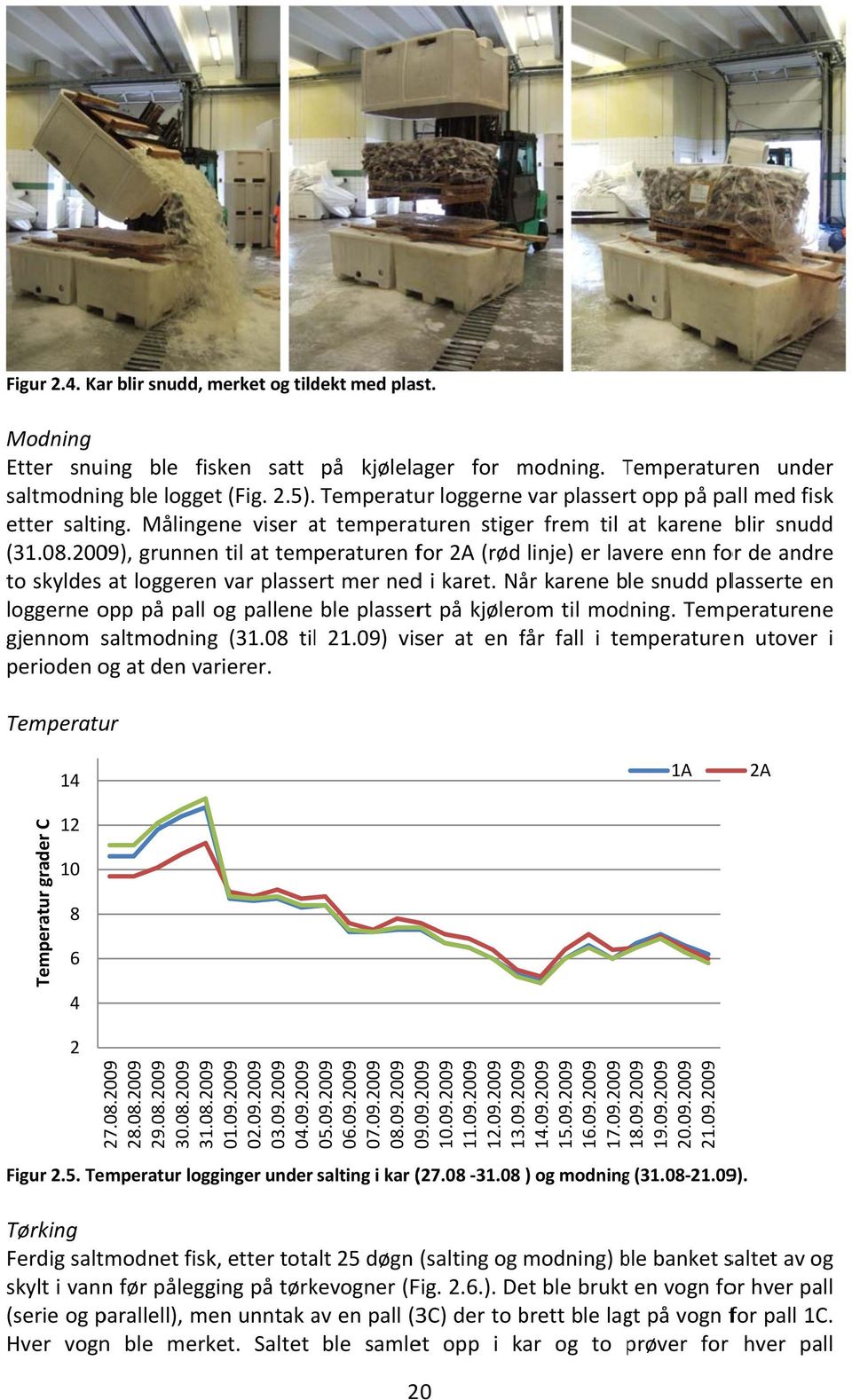 2009), grunnenn til at temperaturen for 2A (rød linje) er lavere enn for de andre to skyldes at loggeren var plassert mer nedd i karet.