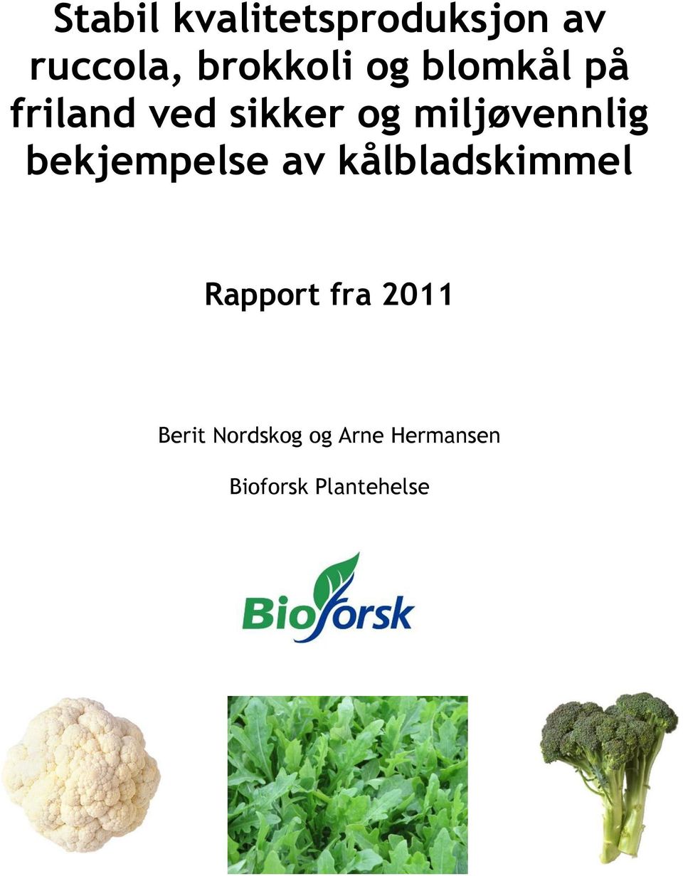 bekjempelse av kålbladskimmel Rapport fra 2011