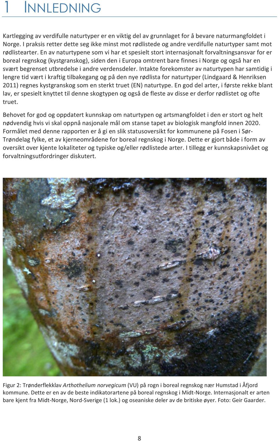 En av naturtypene som vi har et spesielt stort internasjonalt forvaltningsansvar for er boreal regnskog (kystgranskog), siden den i Europa omtrent bare finnes i Norge og også har en svært begrenset