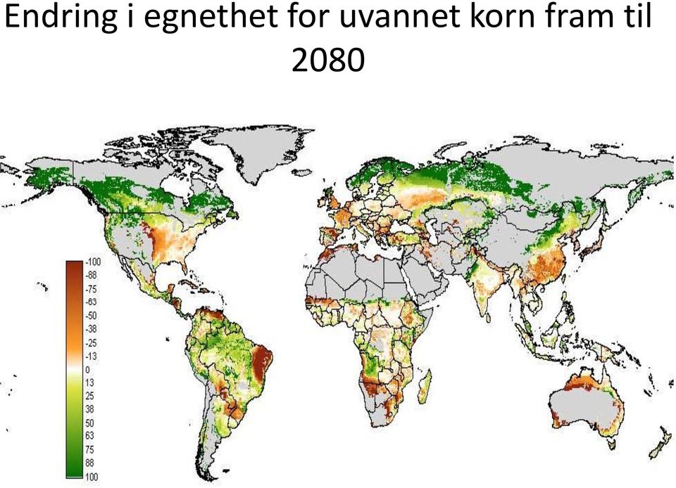 uvannet korn