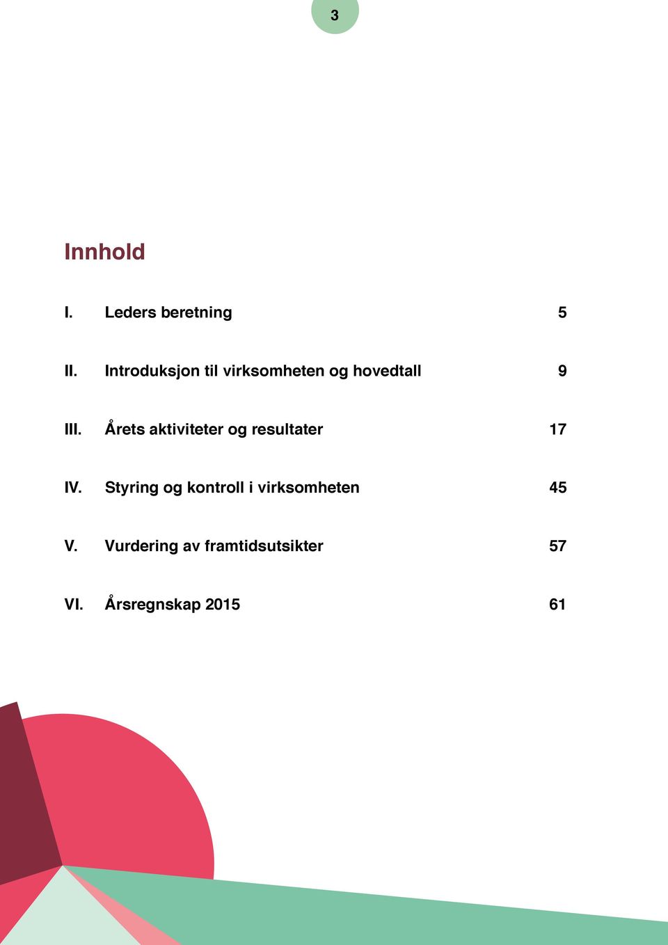 Årets aktiviteter og resultater 17 IV.