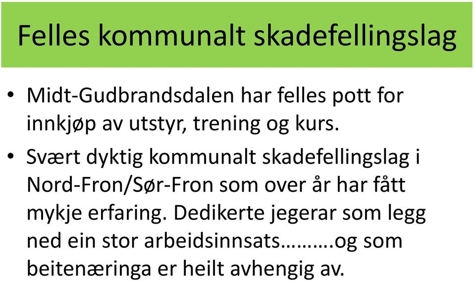 Svært dyktig kommunalt skadefellingslag i Nord-Fron/Sør-Fron som over år