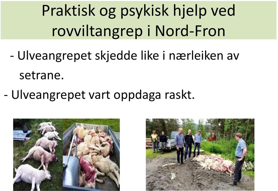 nærleiken av setrane.