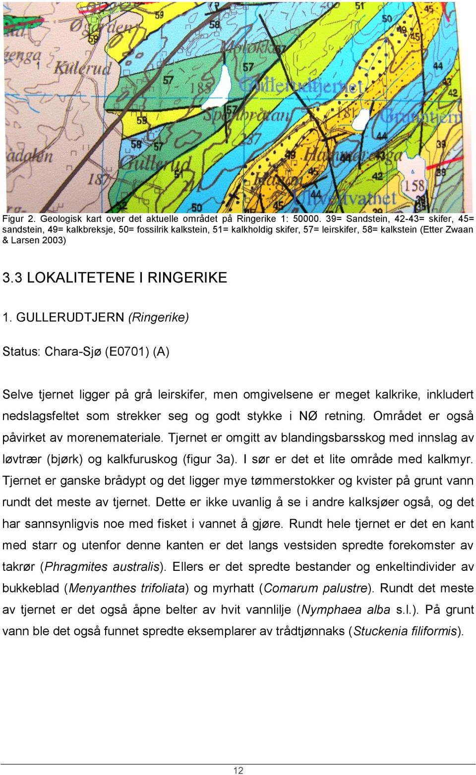 GULLERUDTJERN (Ringerike) Status: Chara-Sjø (E0701) (A) Selve tjernet ligger på grå leirskifer, men omgivelsene er meget kalkrike, inkludert nedslagsfeltet som strekker seg og godt stykke i NØ