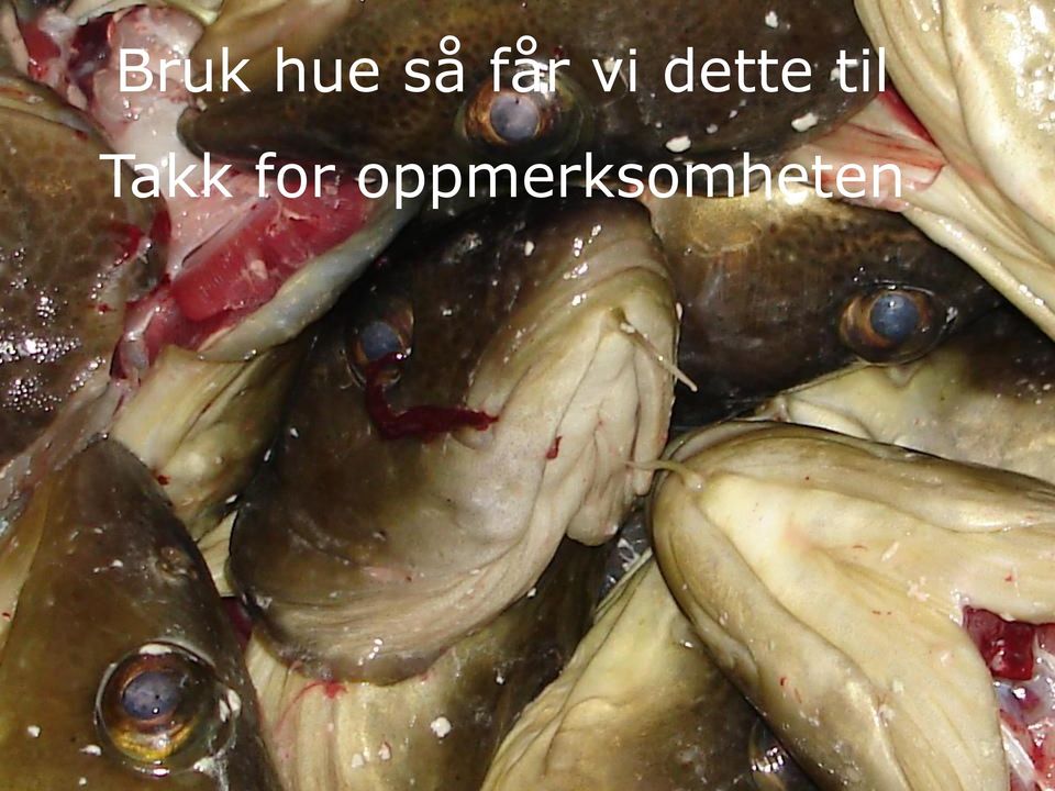 oppmerksomheten Takk