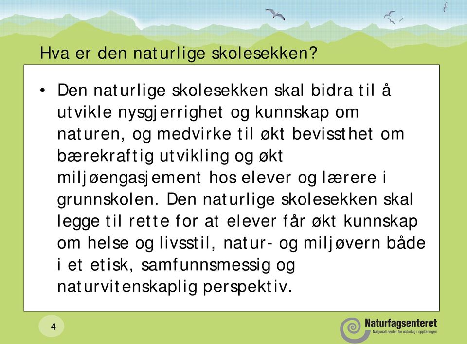 økt bevissthet om bærekraftig utvikling og økt miljøengasjement hos elever og lærere i grunnskolen.