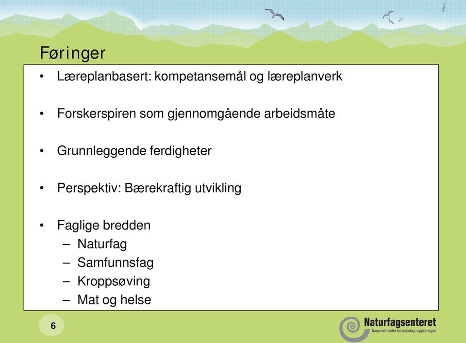 Grunnleggende ferdigheter Perspektiv: Bærekraftig