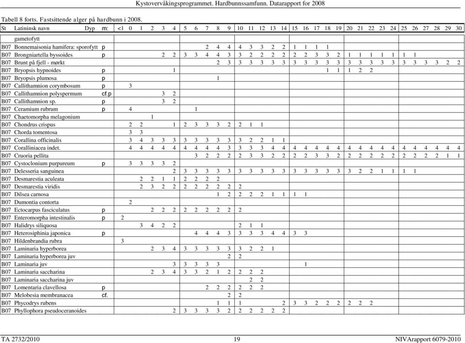 Brongniartella byssoides p 2 2 3 3 4 4 3 3 2 2 2 2 2 2 3 3 2 1 1 1 1 1 1 1 B07 Brunt på fjell - mørkt 2 3 3 3 3 3 3 3 3 3 3 3 3 3 3 3 3 3 3 3 3 2 2 B07 Bryopsis hypnoides p 1 1 1 1 2 2 B07 Bryopsis