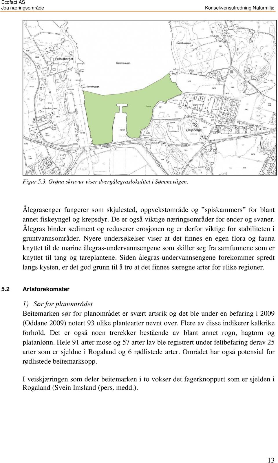 Nyere undersøkelser viser at det finnes en egen flora og fauna knyttet til de marine ålegras-undervannsengene som skiller seg fra samfunnene som er knyttet til tang og tareplantene.