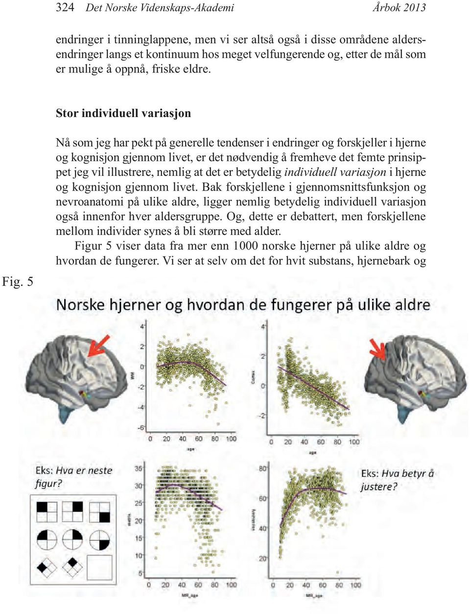 5 Nå som jeg har pekt på generelle tendenser i endringer og forskjeller i hjerne og kognisjon gjennom livet, er det nødvendig å fremheve det femte prinsippet jeg vil illustrere, nemlig at det er