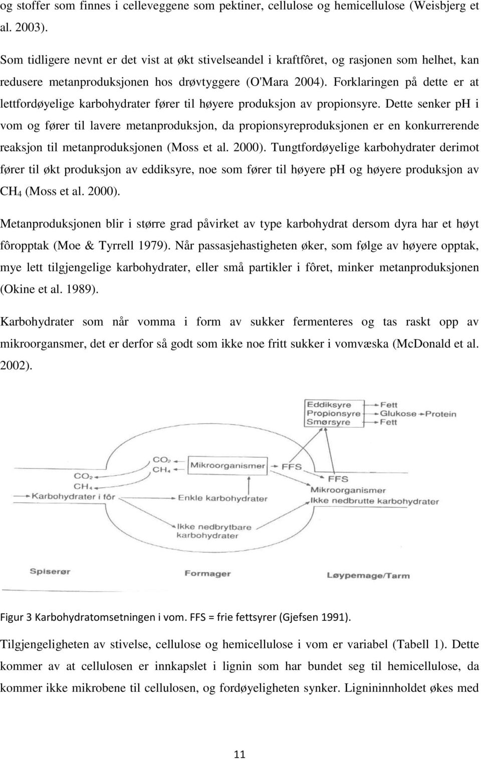 Forklaringen på dette er at lettfordøyelige karbohydrater fører til høyere produksjon av propionsyre.