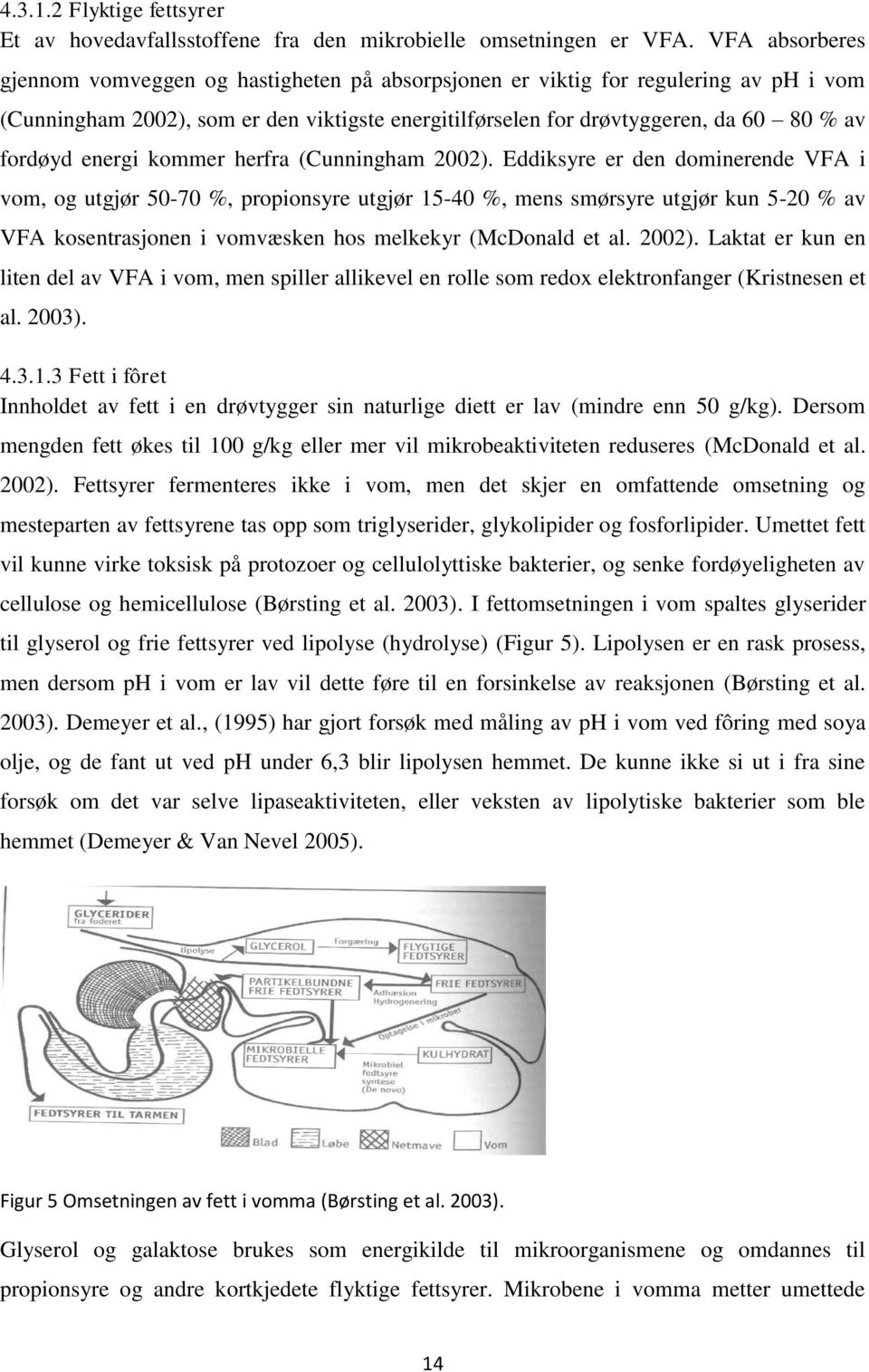 energi kommer herfra (Cunningham 2002).