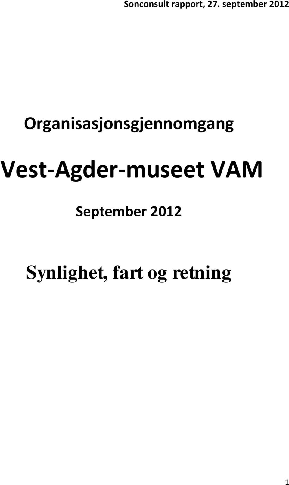 Organisasjonsgjennomgang