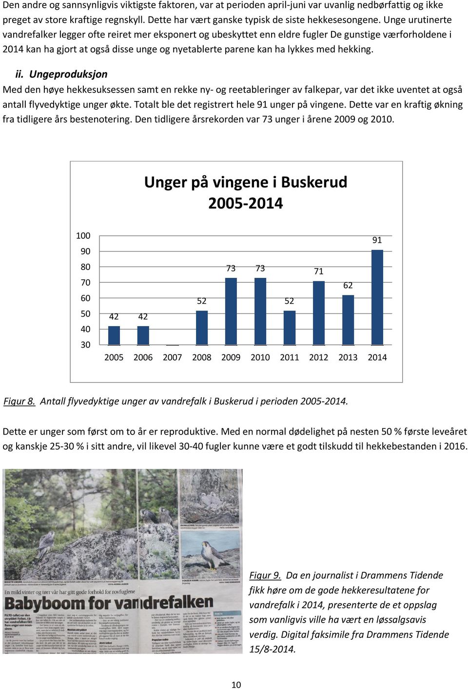 hekking. ii. Ungeproduksjon Med den høye hekkesuksessen samt en rekke ny- og reetableringer av falkepar, var det ikke uventet at også antall flyvedyktige unger økte.