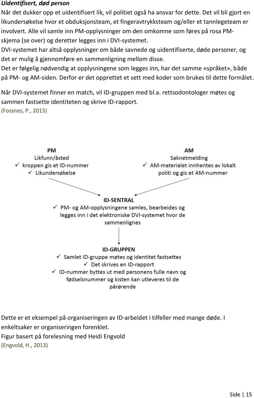 Alle vil samle inn PM-opplysninger om den omkomne som føres på rosa PMskjema (se over) og deretter legges inn i DVI-systemet.