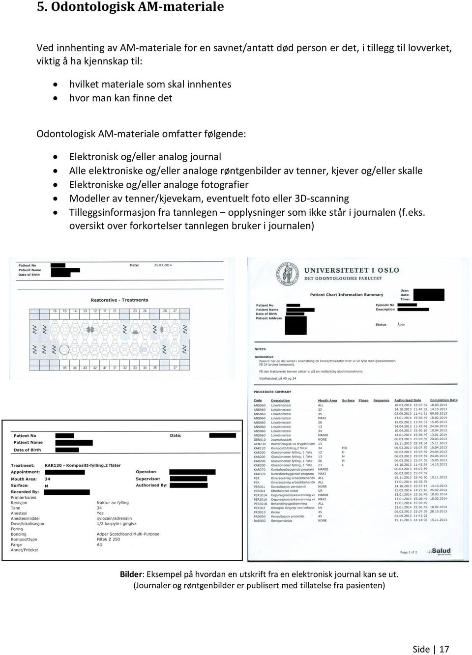 Elektroniske og/eller analoge fotografier Modeller av tenner/kjevekam, eventuelt foto eller 3D-scanning Tilleggsinformasjon fra tannlegen opplysninger som ikke står i journalen (f.eks.