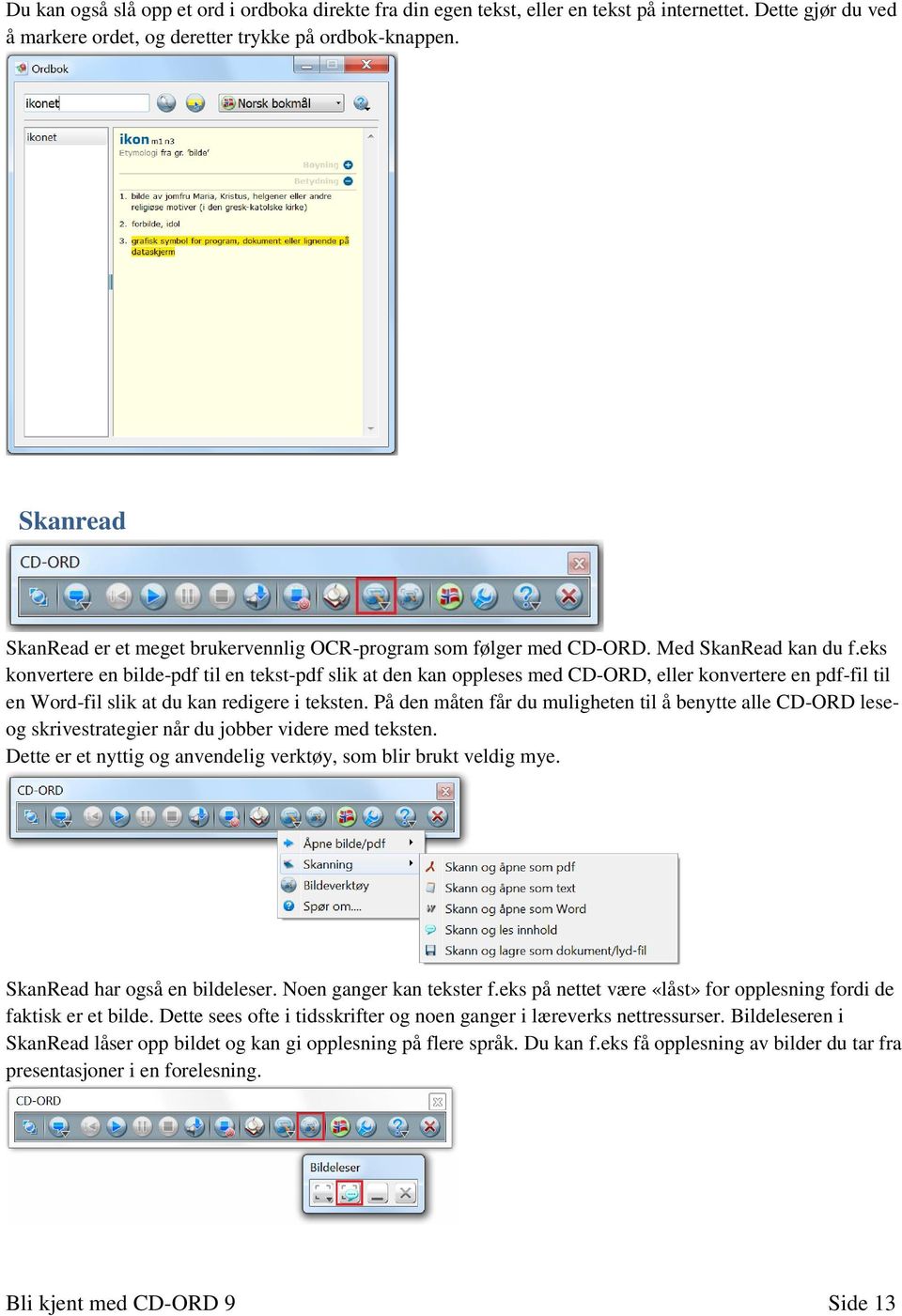 eks konvertere en bilde-pdf til en tekst-pdf slik at den kan oppleses med CD-ORD, eller konvertere en pdf-fil til en Word-fil slik at du kan redigere i teksten.