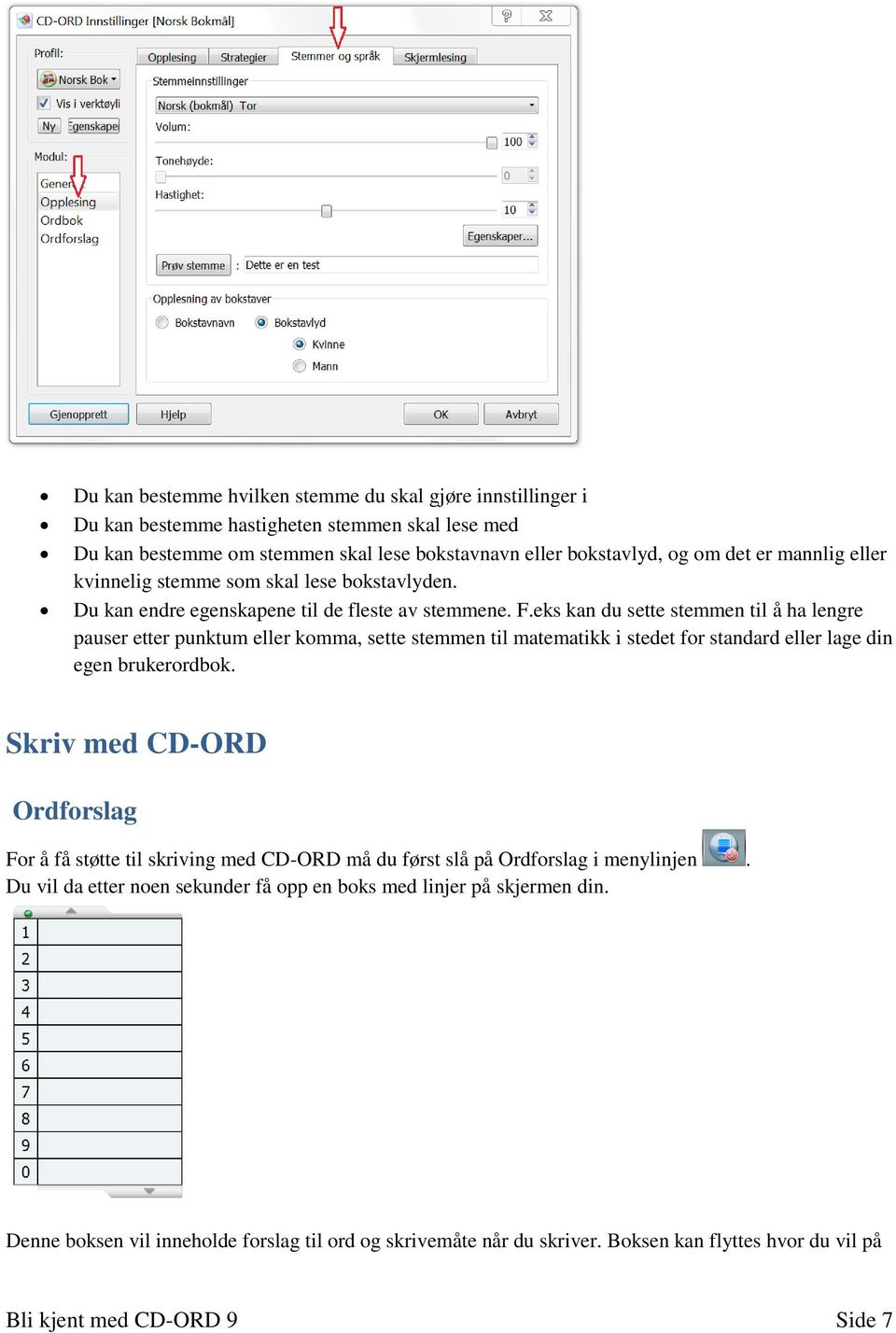 eks kan du sette stemmen til å ha lengre pauser etter punktum eller komma, sette stemmen til matematikk i stedet for standard eller lage din egen brukerordbok.