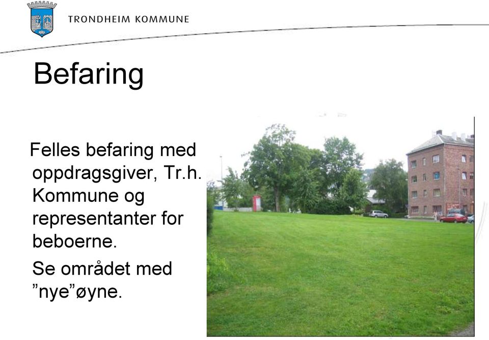 Kommune og representanter