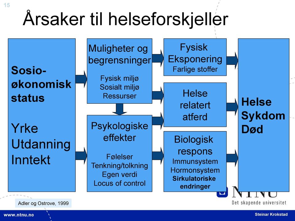 Tenkning/tolkning Egen verdi Locus of control Fysisk Eksponering Farlige stoffer Helse relatert