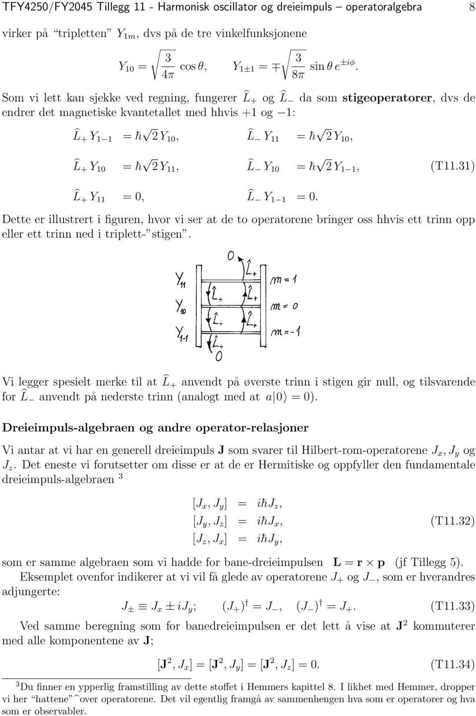 11, L Y 10 = h 2 Y 1 1, (T11.31) L + Y 11 = 0, L Y 1 1 = 0. Dette er illustrert i figuren, hvor vi ser at de to operatorene bringer oss hhvis ett trinn opp eller ett trinn ned i triplett- stigen.