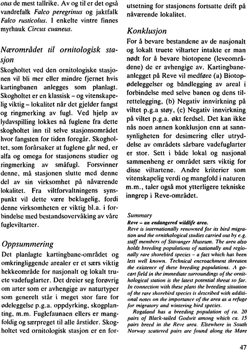 Skogholtet er en klassisk -og vitenskapelig viktig - lokalitet når det gjelder fangst og ringmerking av fugl.