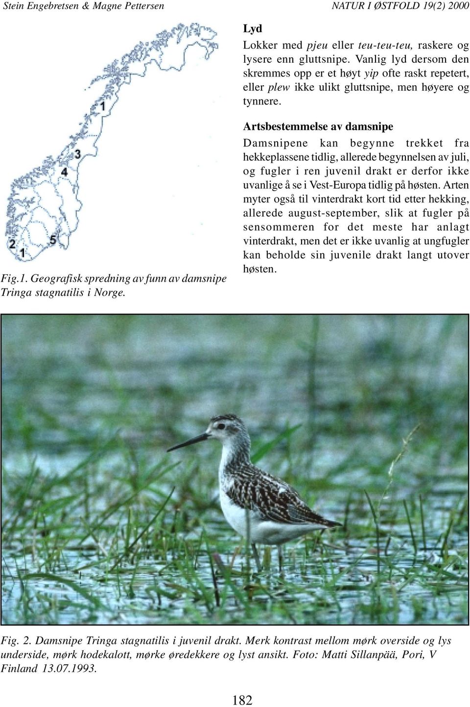 Geografisk spredning av funn av damsnipe Tringa stagnatilis i Norge.