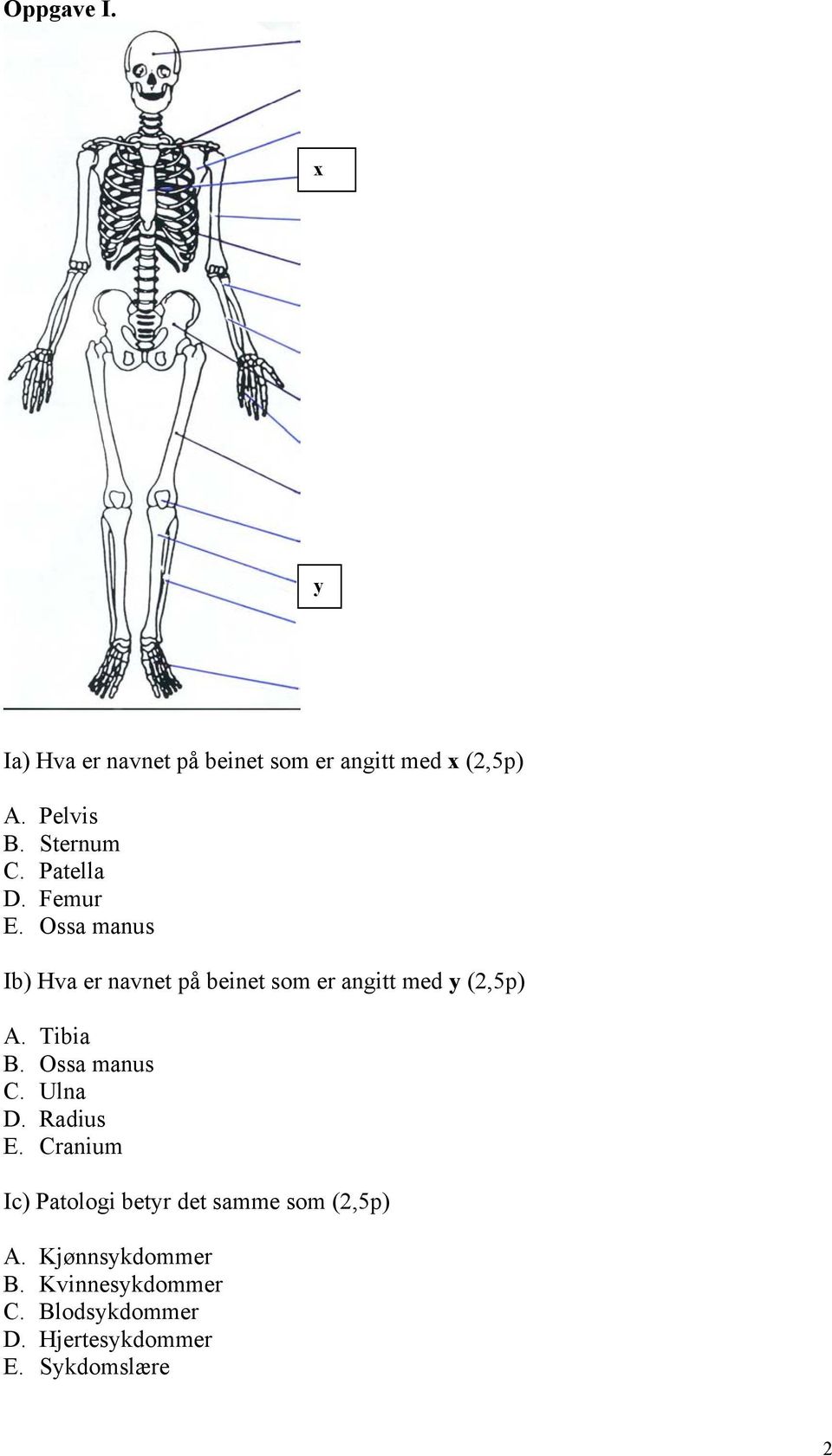 Ossa manus Ib) Hva er navnet på beinet som er angitt med y (2,5p) A. Tibia B. Ossa manus C.