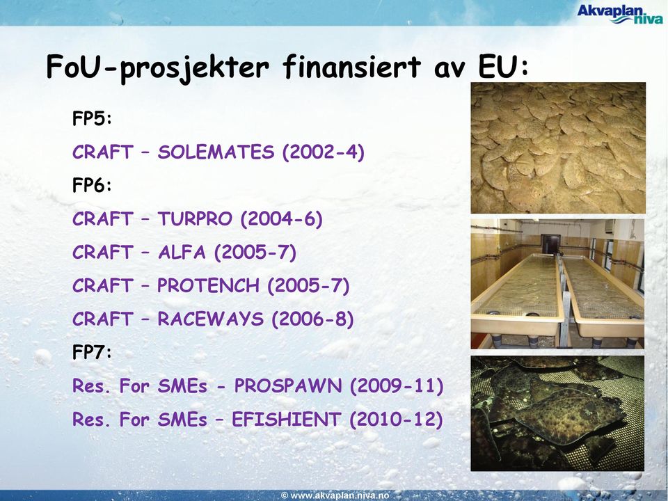 CRAFT PROTENCH (2005-7) CRAFT RACEWAYS (2006-8) FP7: Res.