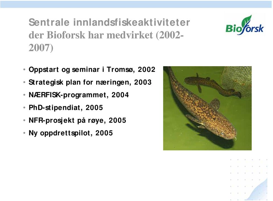 Strategisk plan for næringen, 2003 NÆRFISK-programmet, 2004