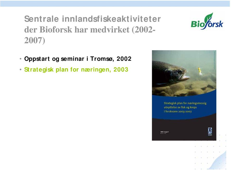 (2002-2007) Oppstart og seminar i