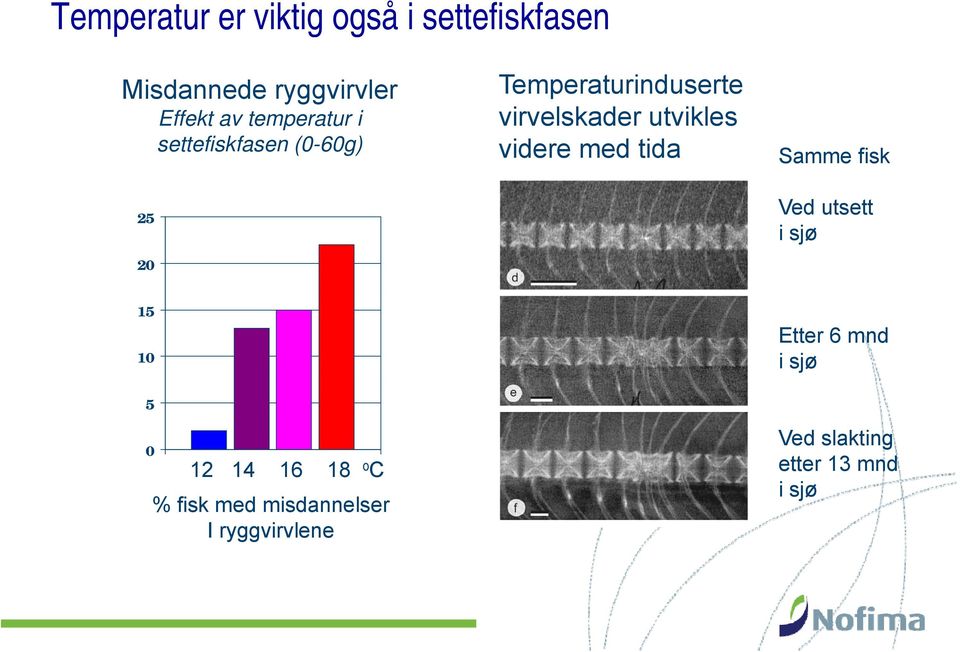 videre med tida Samme fisk Vd Ved utsett tt i sjø 15 10 5 0 12 14 16 18 o C %