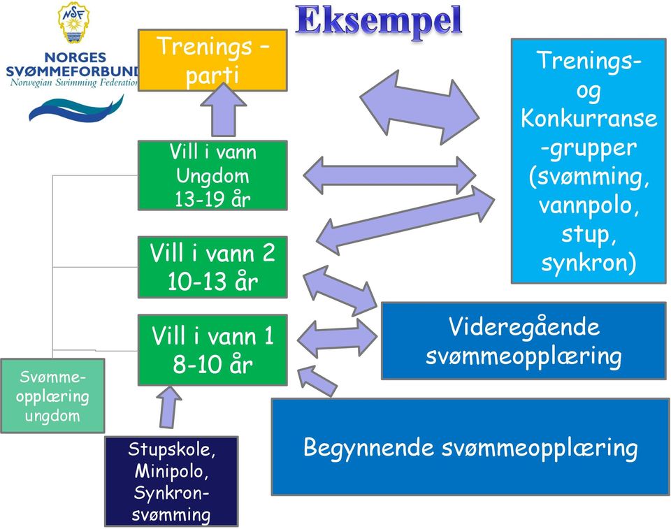 Synkronsvømming Treningsog Konkurranse -grupper (svømming,