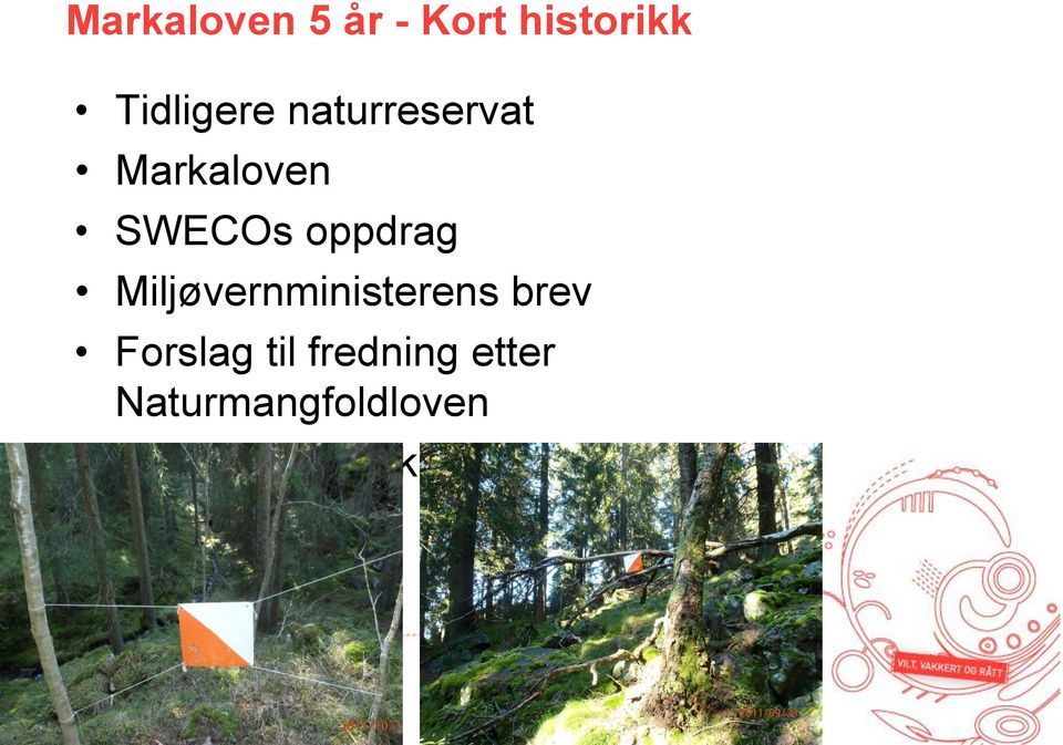 Miljøvernministerens brev Forslag til