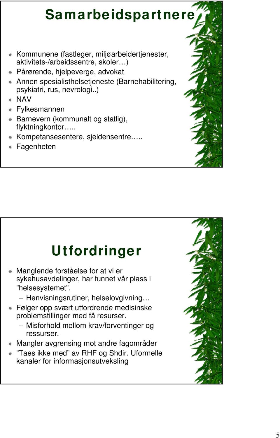 . Fagenheten Utfordringer Manglende forståelse for at vi er sykehusavdelinger, har funnet vår plass i helsesystemet.