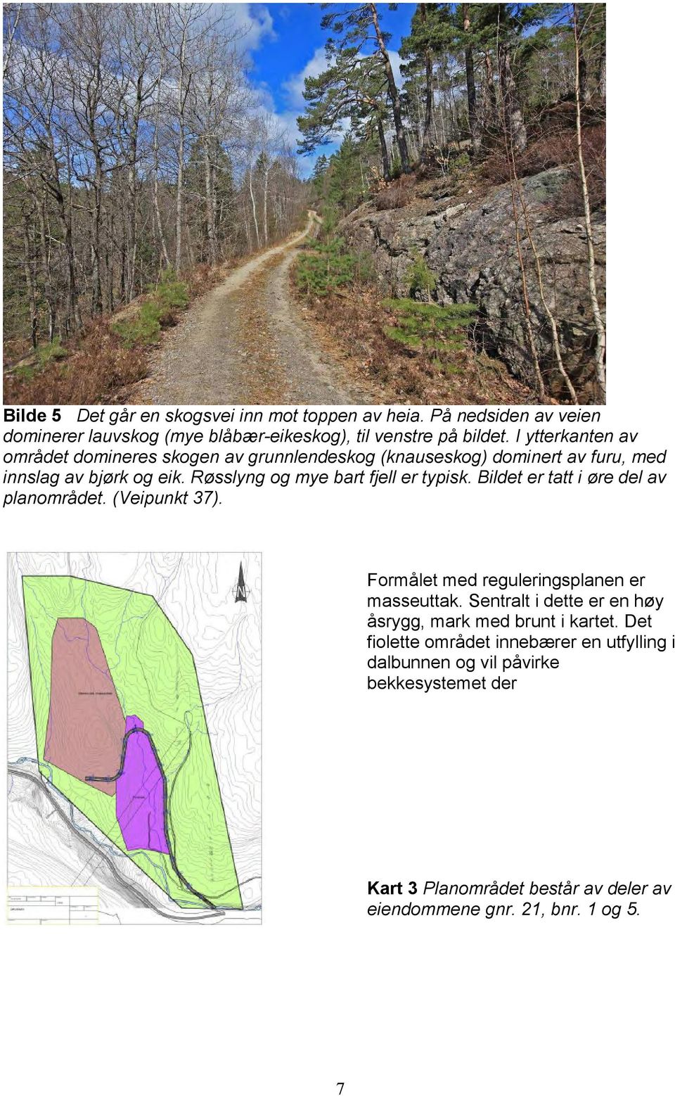 Røsslyng og mye bart fjell er typisk. Bildet er tatt i øre del av planområdet. (Veipunkt 37). Formålet med reguleringsplanen er masseuttak.