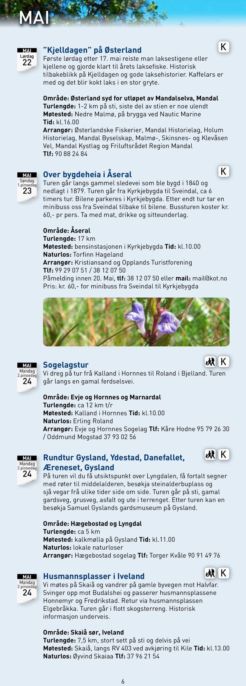 Område: Østerland syd for utløpet av Mandalselva, Mandal Turlengde: 1-2 km på sti, siste del av stien er noe ulendt Møtested: Nedre Malmø, på brygga ved Nautic Marine Tid: kl.16.