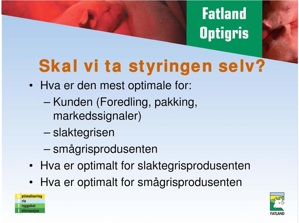 pakking, markedssignaler) slaktegrisen