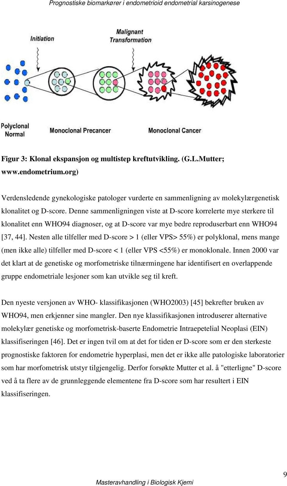 Nesten alle tilfeller med D-score > 1 (eller VPS> 55%) er polyklonal, mens mange (men ikke alle) tilfeller med D-score < 1 (eller VPS <55%) er monoklonale.