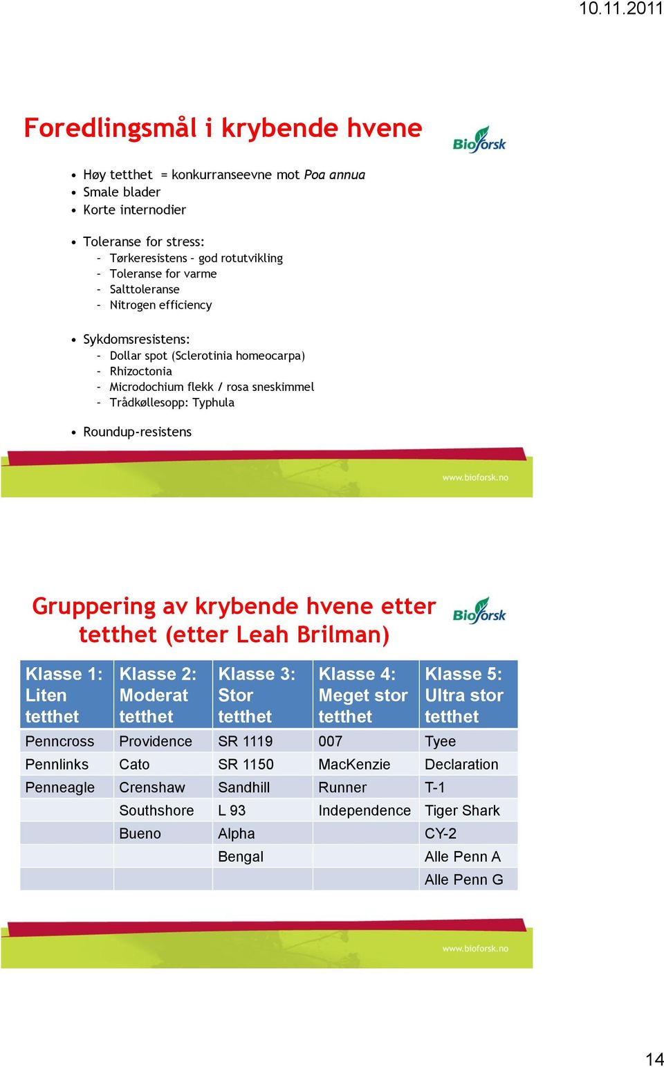 av krybende hvene etter tetthet (etter Leah Brilman) Klasse 1: Liten tetthet Klasse 2: Moderat tetthet Klasse 3: Stor tetthet Klasse 4: Meget stor tetthet Penncross Providence SR 1119 007