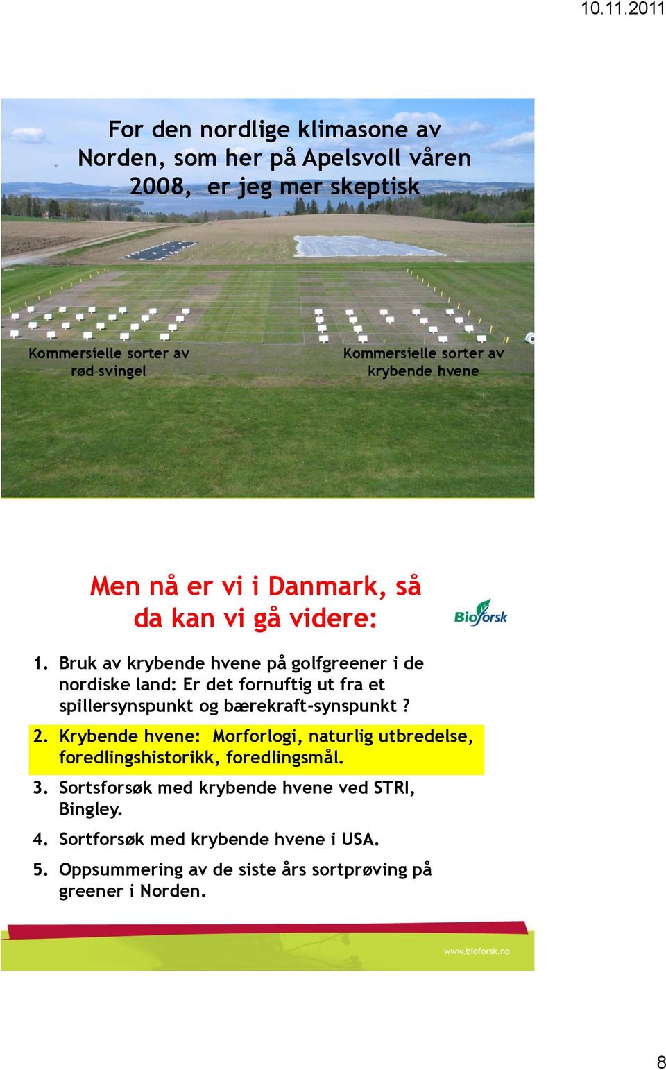 Bruk av krybende hvene på golfgreener i de nordiske land: Er det fornuftig ut fra et spillersynspunkt og bærekraft-synspunkt? 2.