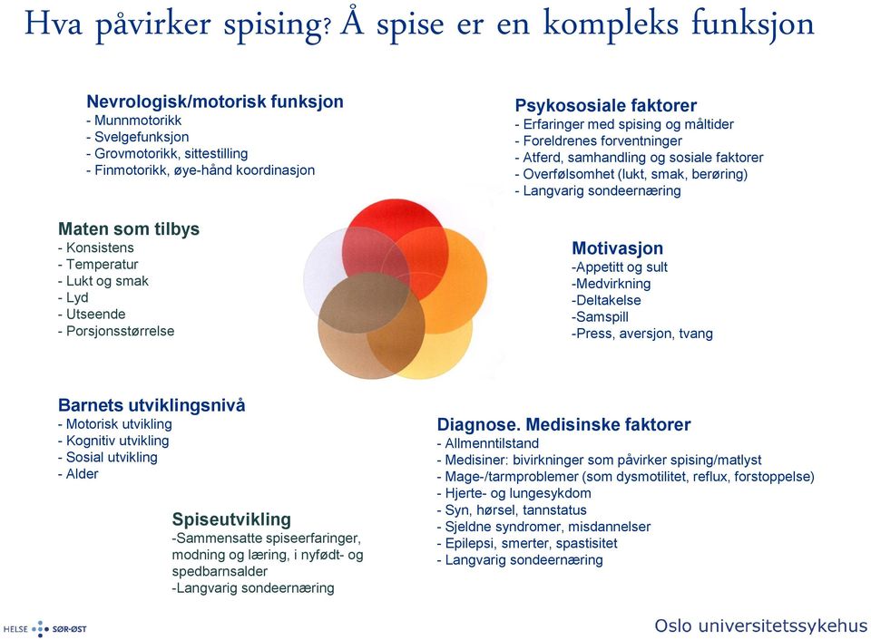 Temperatur - Lukt og smak - Lyd - Utseende - Porsjonsstørrelse Psykososiale faktorer - Erfaringer med spising og måltider - Foreldrenes forventninger - Atferd, samhandling og sosiale faktorer -