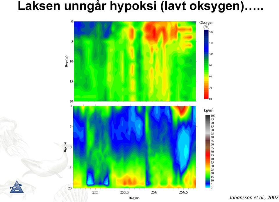 15 20 255 255.5 256 256.5 Dag nr.