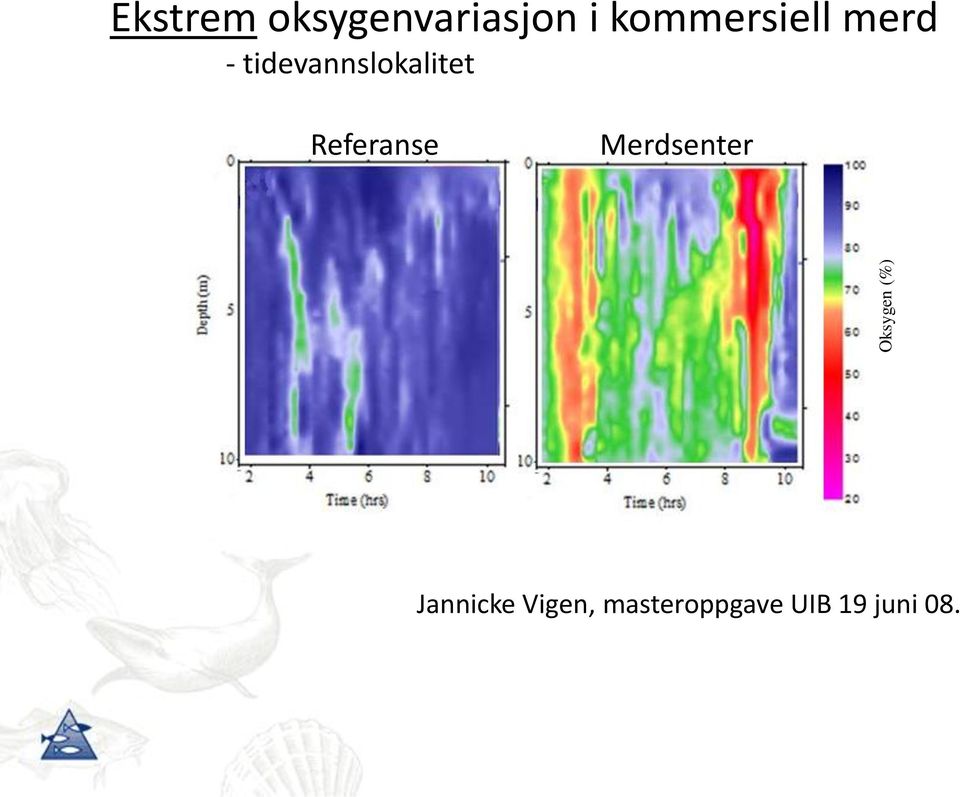 - tidevannslokalitet Referanse