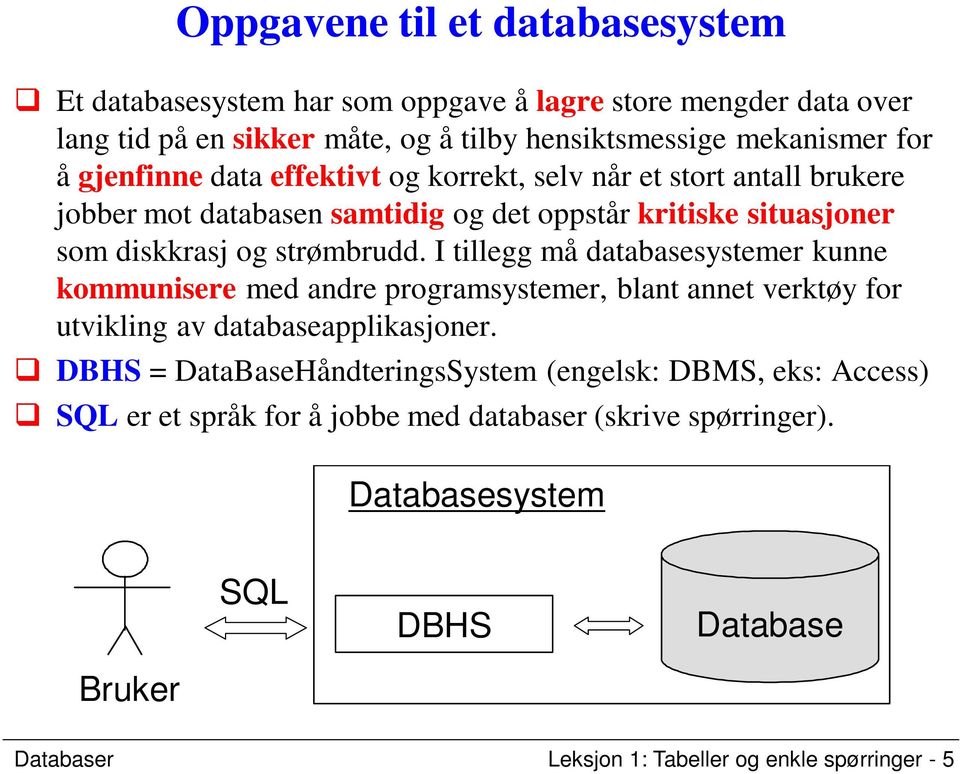 I tillegg må databasesystemer kunne kommunisere med andre programsystemer, blant annet verktøy for utvikling av databaseapplikasjoner.