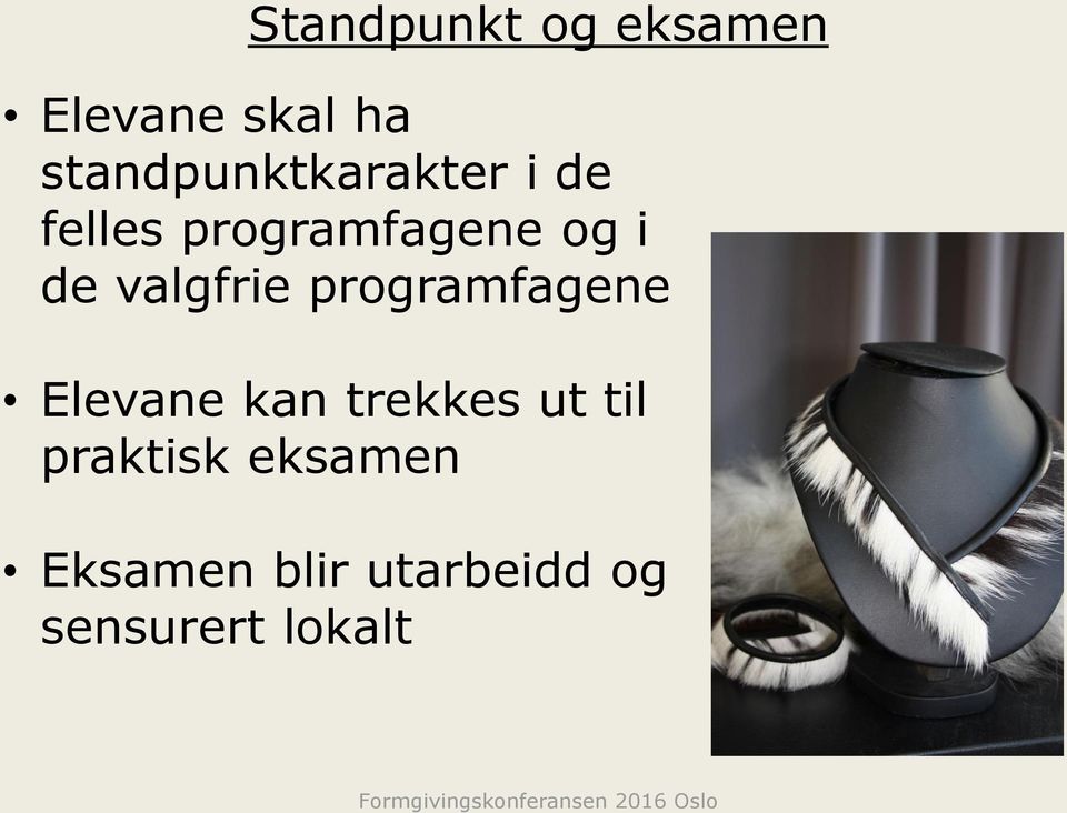 de valgfrie programfagene Elevane kan trekkes ut